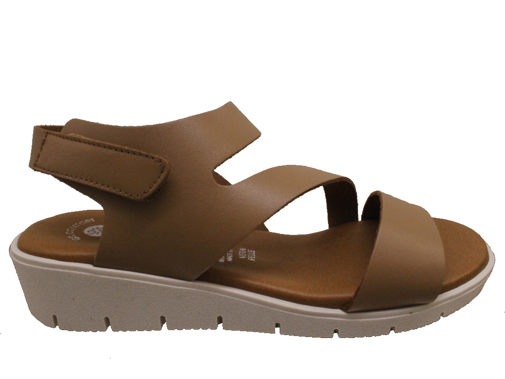 DOREA  MC404 MARRONE 40