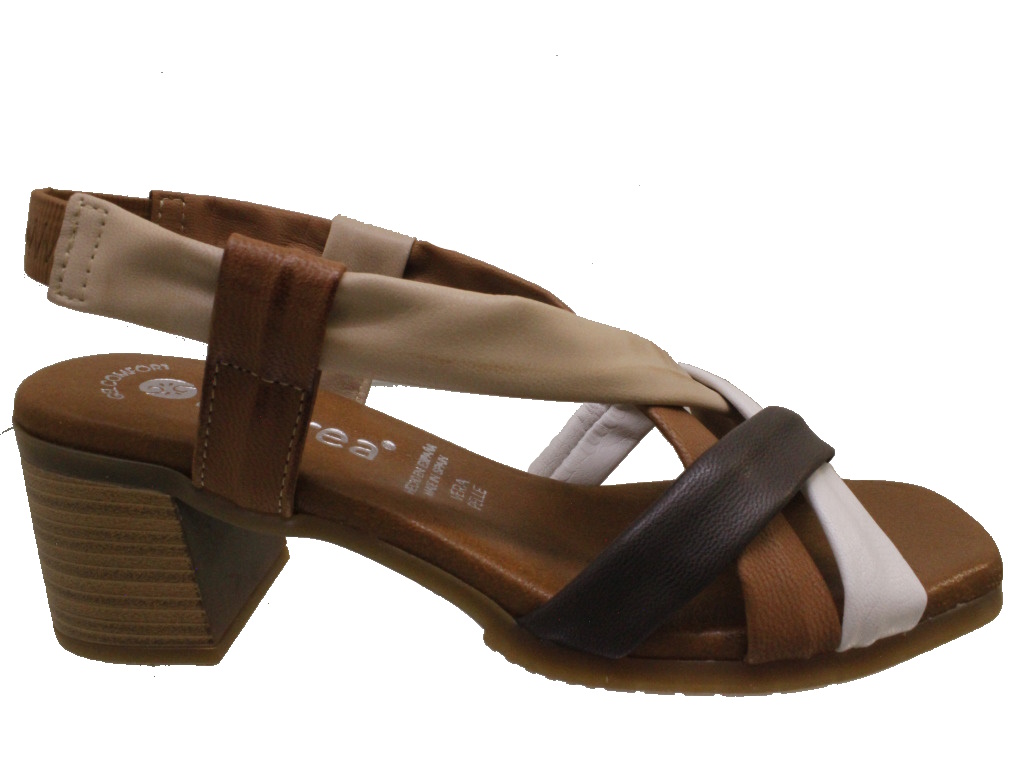 DOREA  MC428 MARRONE 40