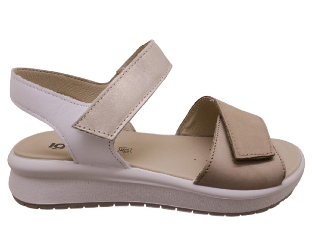 IGI&CO  1159111 BEIGE 40