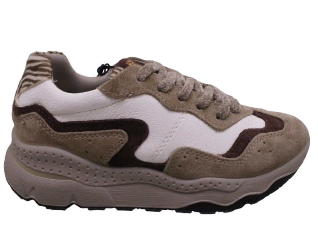IGI&CO  2176111 TAUPE  sneakers donna